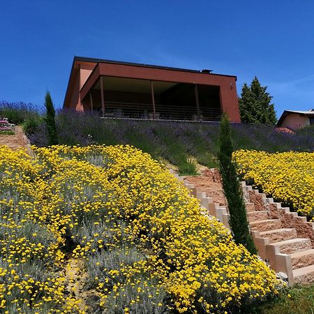 Hilltop House Villa Strigova Exterior foto