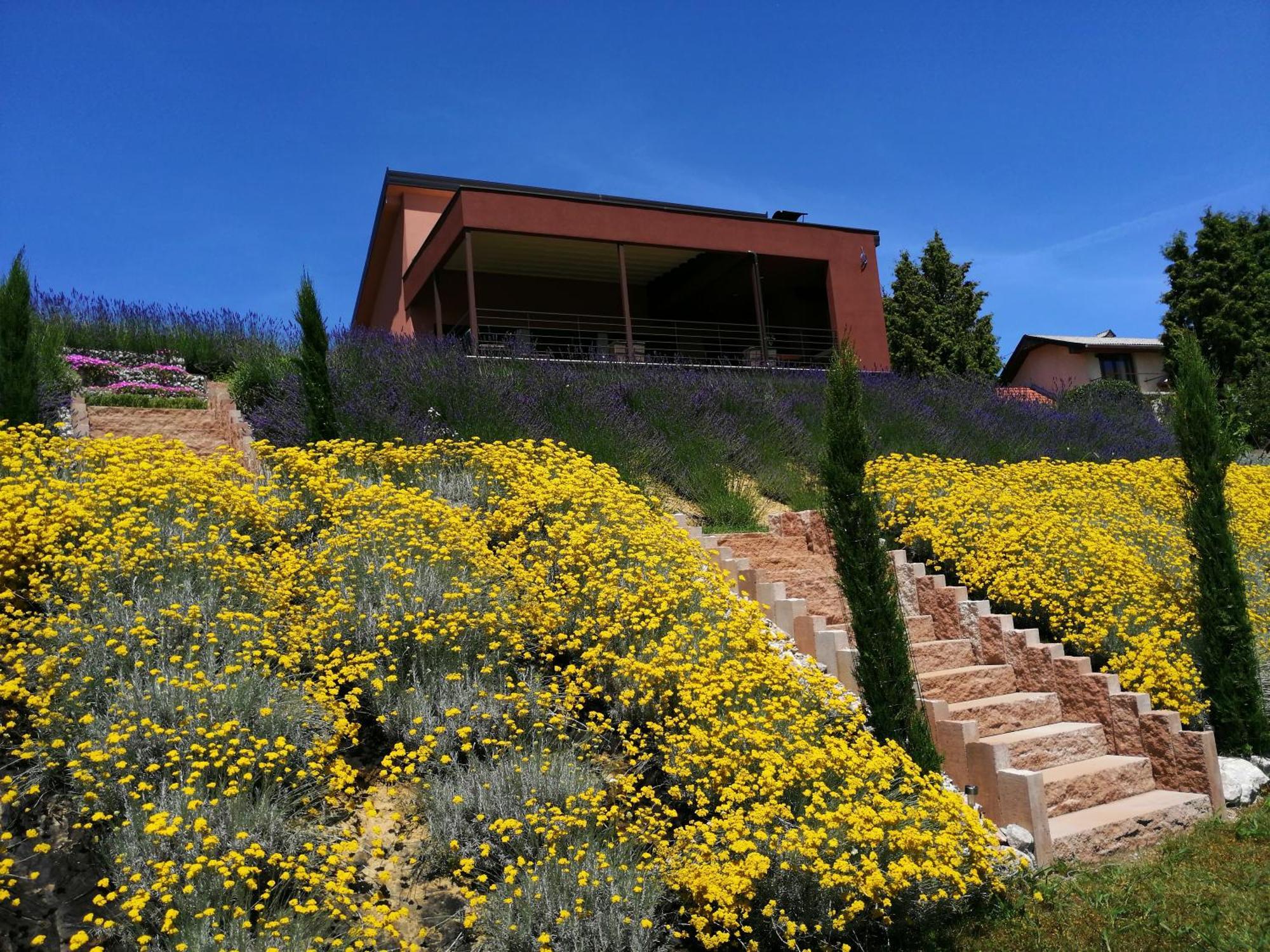 Hilltop House Villa Strigova Exterior foto